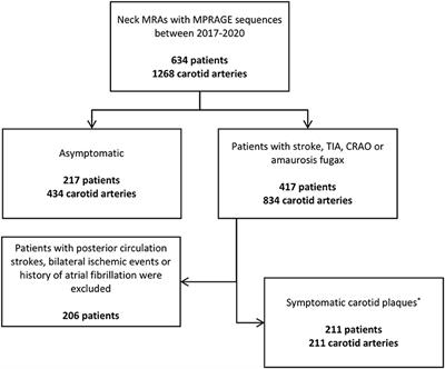 Variations in the Presence of Carotid Intraplaque Hemorrhage Across Age Categories: What Age Groups Are Most Likely to Benefit From Plaque Imaging?